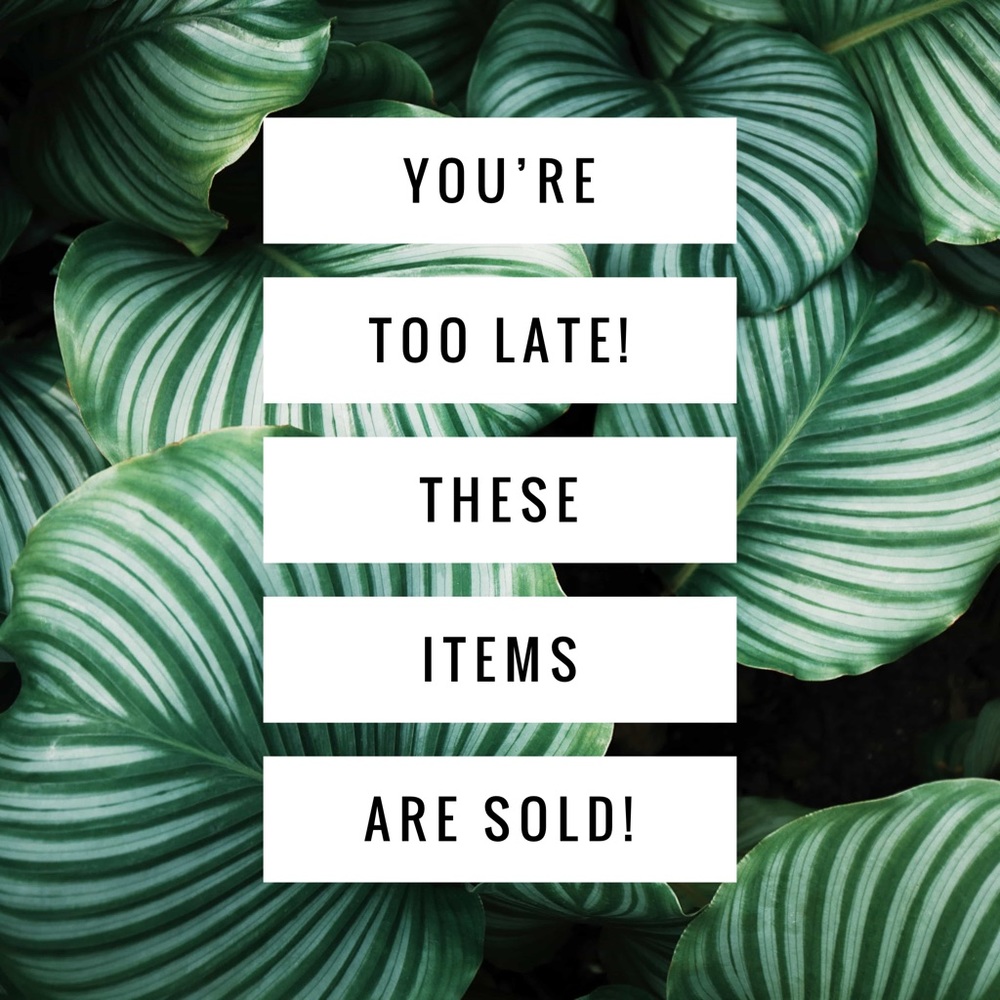 Sorry! The following items are sold.